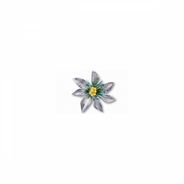 Silver Flower