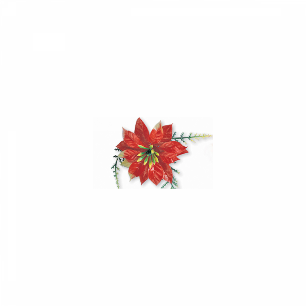 Red Brooch