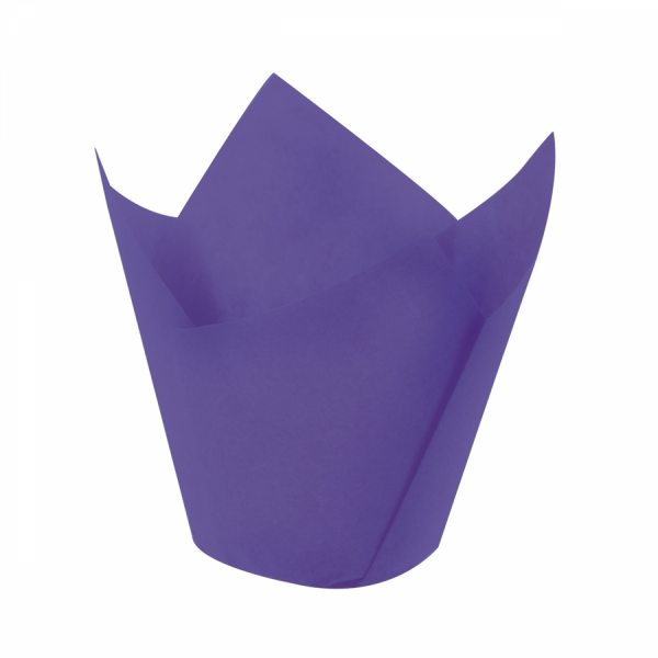 Tulip Cup Purple