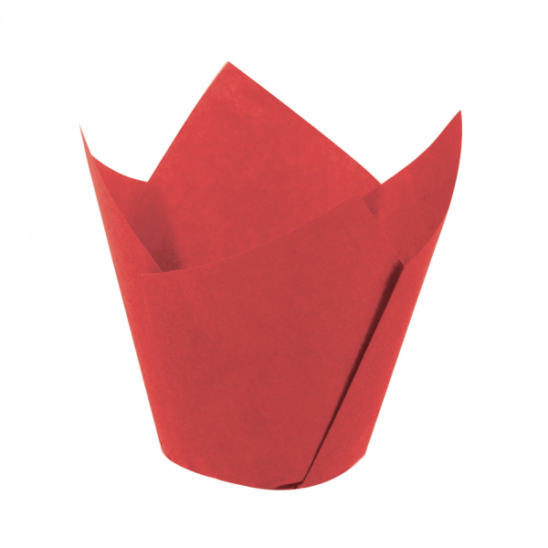 Tulip Cup Red