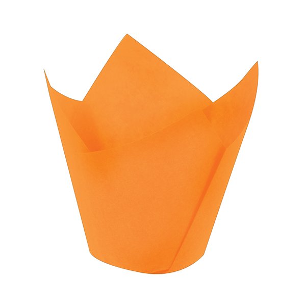 Tulip Cup Orange